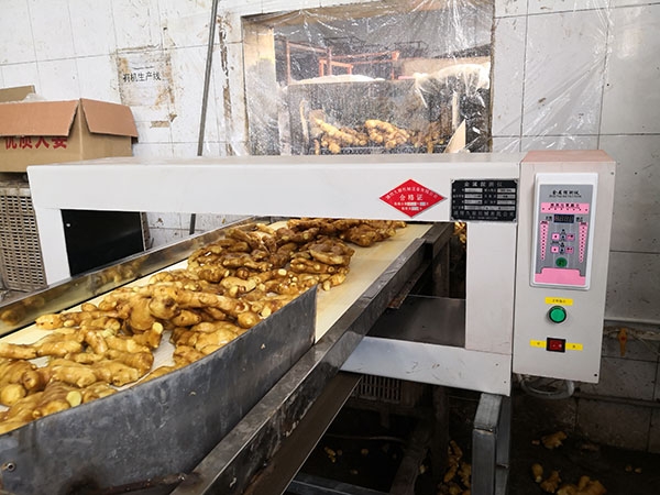 干式自卸电磁除铁器 (3)